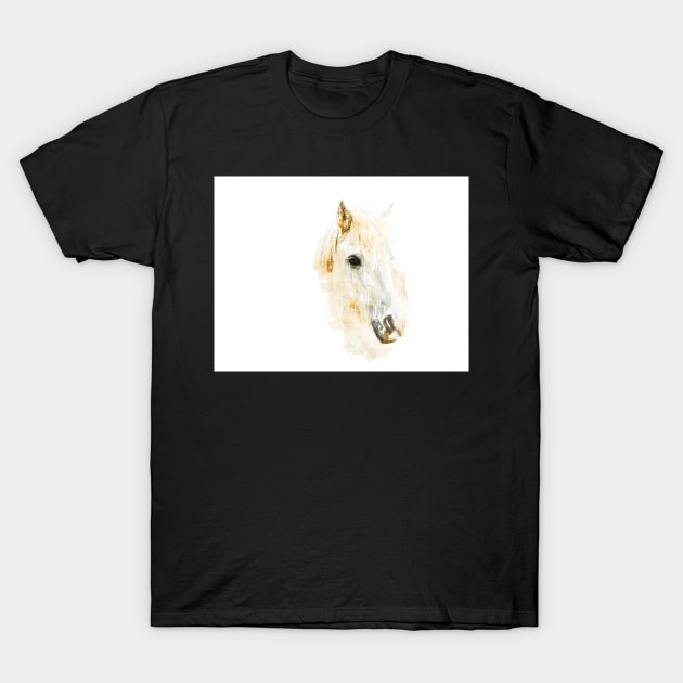 Icelandic Horse Sketch Art T-Shirt by gelibolu